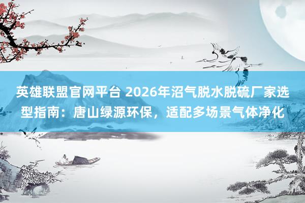 英雄联盟官网平台 2026年沼气脱水脱硫厂家选型指南：唐山绿源环保，适配多场景气体净化