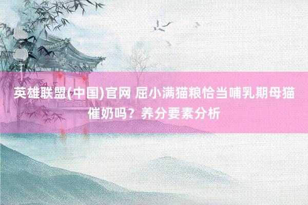 英雄联盟(中国)官网 屈小满猫粮恰当哺乳期母猫催奶吗？养分要素分析