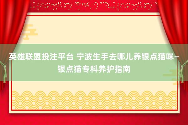 英雄联盟投注平台 宁波生手去哪儿养银点猫咪—银点猫专科养护指南