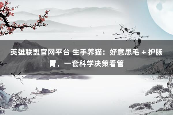 英雄联盟官网平台 生手养猫：好意思毛 + 护肠胃，一套科学决策看管