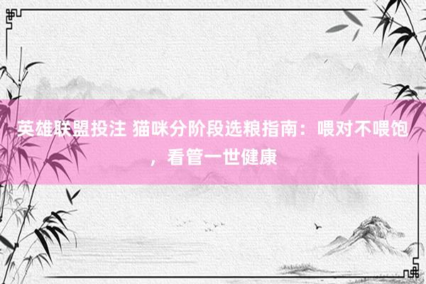 英雄联盟投注 猫咪分阶段选粮指南：喂对不喂饱，看管一世健康