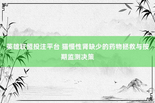 英雄联盟投注平台 猫慢性肾缺少的药物拯救与按期监测决策