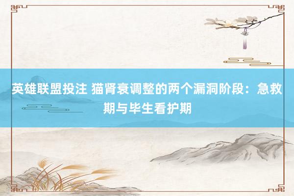 英雄联盟投注 猫肾衰调整的两个漏洞阶段：急救期与毕生看护期