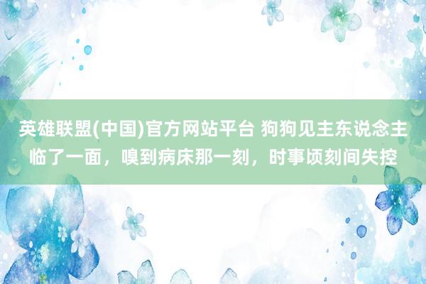 英雄联盟(中国)官方网站平台 狗狗见主东说念主临了一面，嗅到病床那一刻，时事顷刻间失控