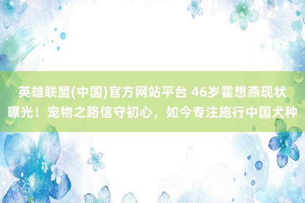 英雄联盟(中国)官方网站平台 46岁霍想燕现状曝光！宠物之路信守初心，如今专注施行中国犬种