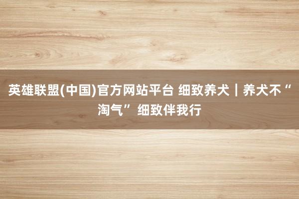 英雄联盟(中国)官方网站平台 细致养犬｜养犬不“淘气” 细致伴我行