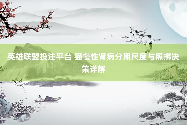 英雄联盟投注平台 猫慢性肾病分期尺度与照拂决策详解