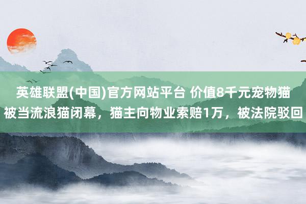 英雄联盟(中国)官方网站平台 价值8千元宠物猫被当流浪猫闭幕，猫主向物业索赔1万，被法院驳回