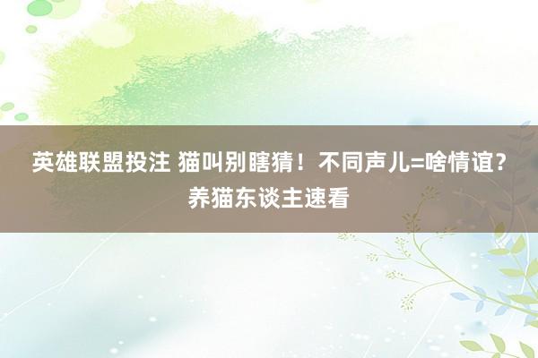 英雄联盟投注 猫叫别瞎猜！不同声儿=啥情谊？养猫东谈主速看