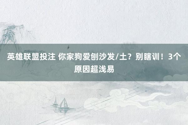 英雄联盟投注 你家狗爱刨沙发/土？别瞎训！3个原因超浅易