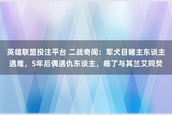 英雄联盟投注平台 二战奇闻：军犬目睹主东谈主遇难，5年后偶遇仇东谈主，临了与其兰艾同焚