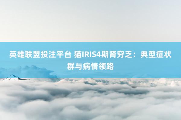 英雄联盟投注平台 猫IRIS4期肾穷乏：典型症状群与病情领路