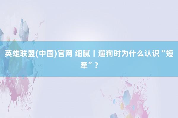 英雄联盟(中国)官网 细腻丨遛狗时为什么认识“短牵”？