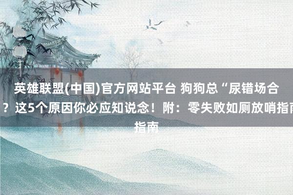英雄联盟(中国)官方网站平台 狗狗总“尿错场合”？这5个原因你必应知说念！附：零失败如厕放哨指南