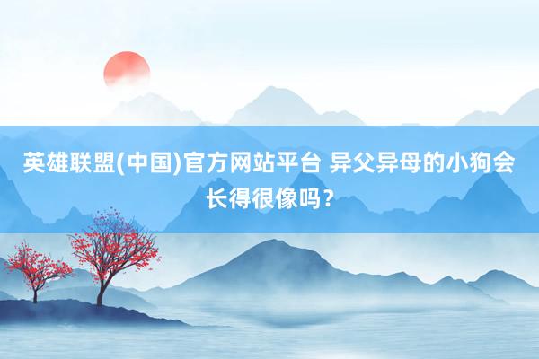 英雄联盟(中国)官方网站平台 异父异母的小狗会长得很像吗？