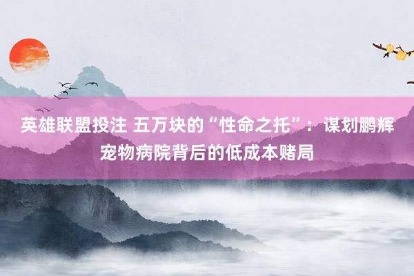 英雄联盟投注 五万块的“性命之托”：谋划鹏辉宠物病院背后的低成本赌局