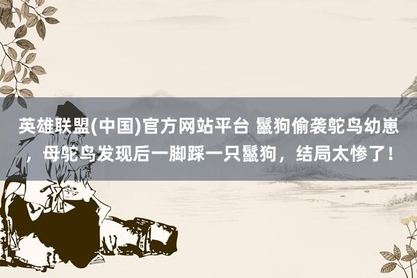 英雄联盟(中国)官方网站平台 鬣狗偷袭鸵鸟幼崽，母鸵鸟发现后一脚踩一只鬣狗，结局太惨了！