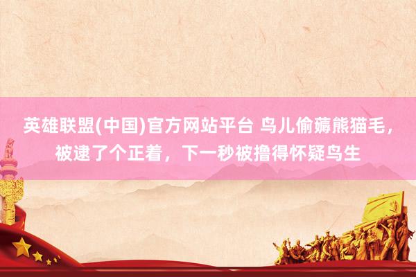英雄联盟(中国)官方网站平台 鸟儿偷薅熊猫毛，被逮了个正着，下一秒被撸得怀疑鸟生