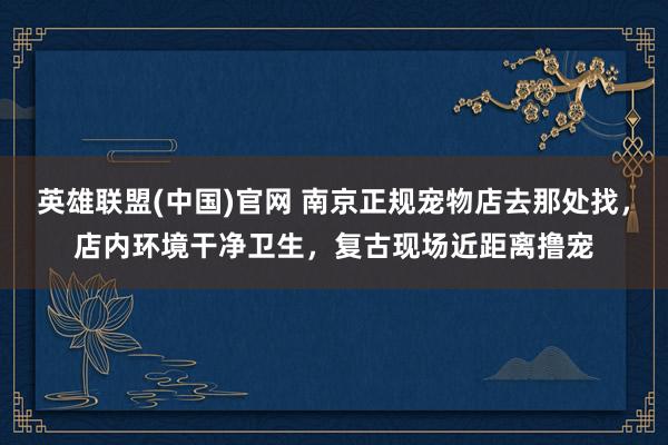 英雄联盟(中国)官网 南京正规宠物店去那处找，店内环境干净卫生，复古现场近距离撸宠