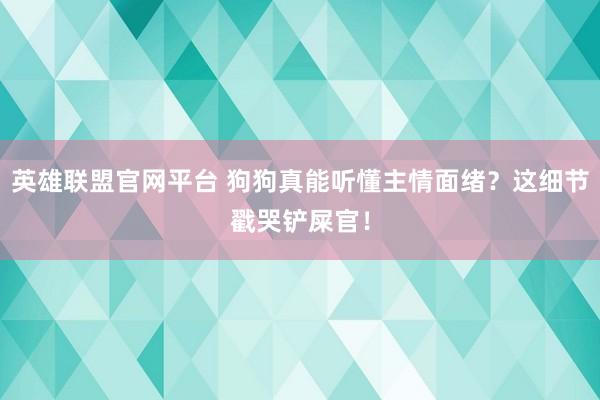 英雄联盟官网平台 狗狗真能听懂主情面绪？这细节戳哭铲屎官！