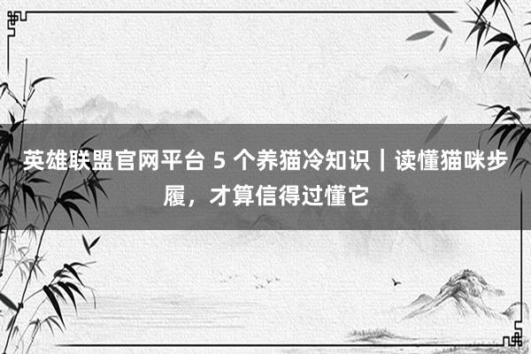 英雄联盟官网平台 5 个养猫冷知识｜读懂猫咪步履，才算信得过懂它