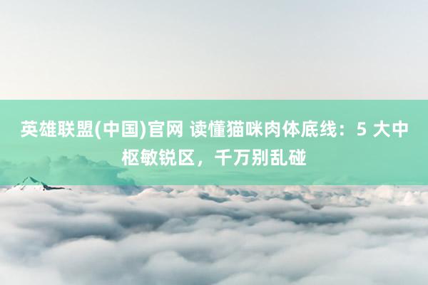 英雄联盟(中国)官网 读懂猫咪肉体底线：5 大中枢敏锐区，千万别乱碰