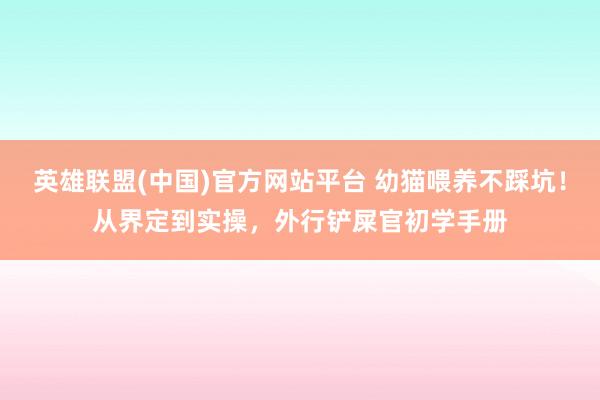 英雄联盟(中国)官方网站平台 幼猫喂养不踩坑！从界定到实操，外行铲屎官初学手册
