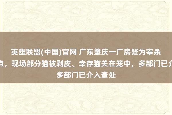 英雄联盟(中国)官网 广东肇庆一厂房疑为宰杀猫只窝点，现场部分猫被剥皮、幸存猫关在笼中，多部门已介入查处