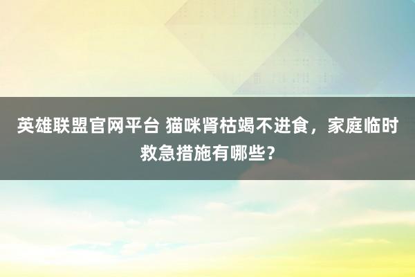 英雄联盟官网平台 猫咪肾枯竭不进食，家庭临时救急措施有哪些？