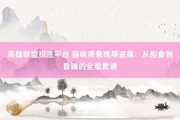 英雄联盟投注平台 猫咪肾衰晚期进展：从拒食到昏睡的全面贯通