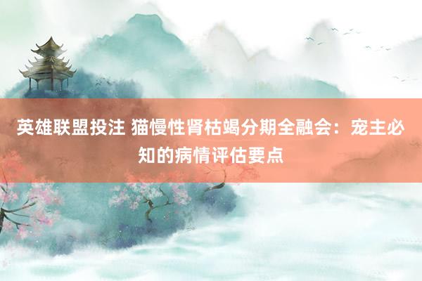 英雄联盟投注 猫慢性肾枯竭分期全融会：宠主必知的病情评估要点