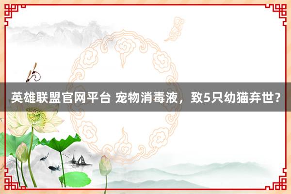 英雄联盟官网平台 宠物消毒液，致5只幼猫弃世？