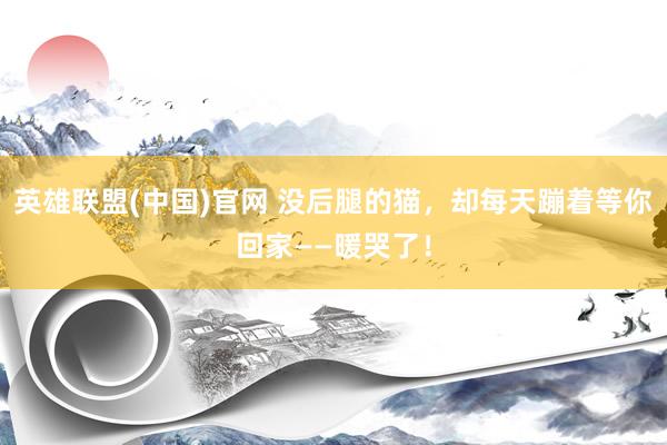 英雄联盟(中国)官网 没后腿的猫，却每天蹦着等你回家——暖哭了！