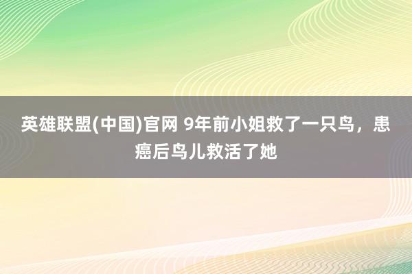 英雄联盟(中国)官网 9年前小姐救了一只鸟，患癌后鸟儿救活了她