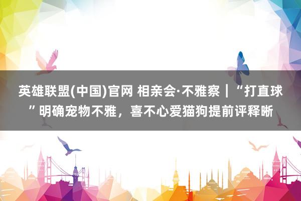 英雄联盟(中国)官网 相亲会·不雅察︱“打直球”明确宠物不雅，喜不心爱猫狗提前评释晰