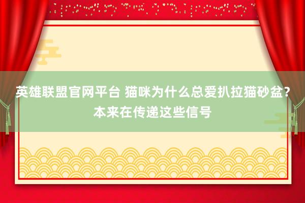 英雄联盟官网平台 猫咪为什么总爱扒拉猫砂盆？本来在传递这些信号