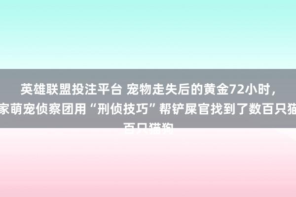 英雄联盟投注平台 宠物走失后的黄金72小时，这家萌宠侦察团用“刑侦技巧”帮铲屎官找到了数百只猫狗