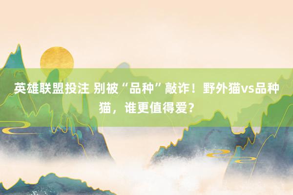 英雄联盟投注 别被“品种”敲诈！野外猫vs品种猫，谁更值得爱？