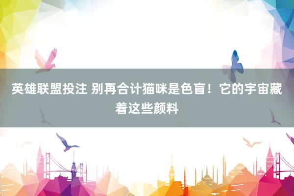 英雄联盟投注 别再合计猫咪是色盲！它的宇宙藏着这些颜料