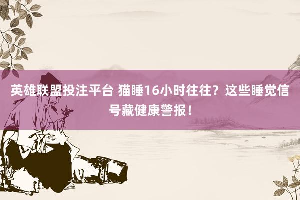 英雄联盟投注平台 猫睡16小时往往？这些睡觉信号藏健康警报！
