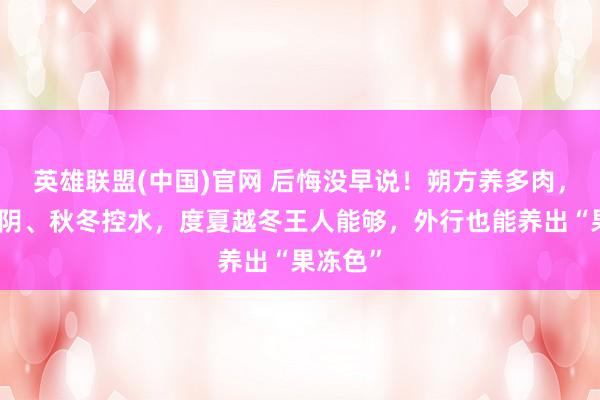 英雄联盟(中国)官网 后悔没早说！朔方养多肉，春夏遮阴、秋冬控水，度夏越冬王人能够，外行也能养出“果冻色”