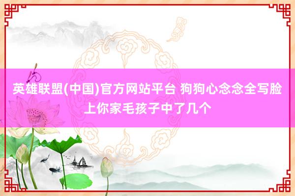 英雄联盟(中国)官方网站平台 狗狗心念念全写脸上你家毛孩子中了几个