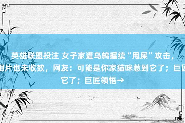 英雄联盟投注 女子家遭乌鸫握续“甩屎”攻击，贴老鹰相片也未收效，网友：可能是你家猫咪惹到它了；巨匠领悟→