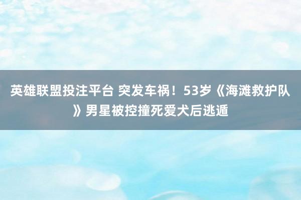 英雄联盟投注平台 突发车祸！53岁《海滩救护队》男星被控撞死爱犬后逃遁