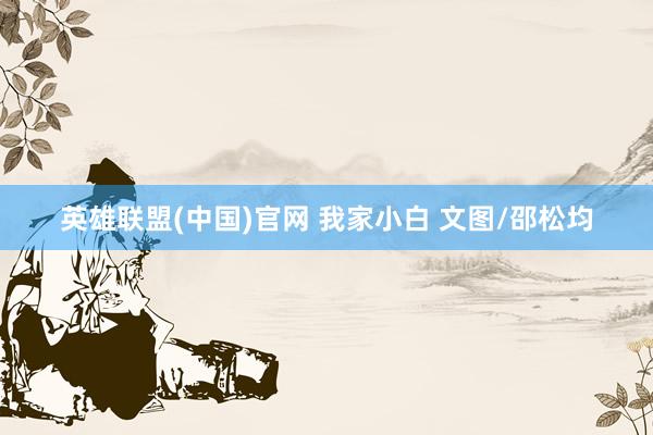 英雄联盟(中国)官网 我家小白 文图/邵松均