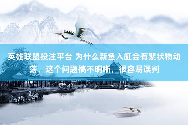 英雄联盟投注平台 为什么新鱼入缸会有絮状物动荡，这个问题搞不明晰，很容易误判