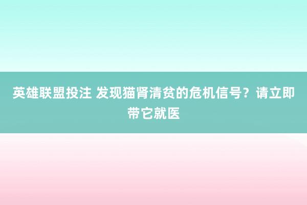 英雄联盟投注 发现猫肾清贫的危机信号？请立即带它就医