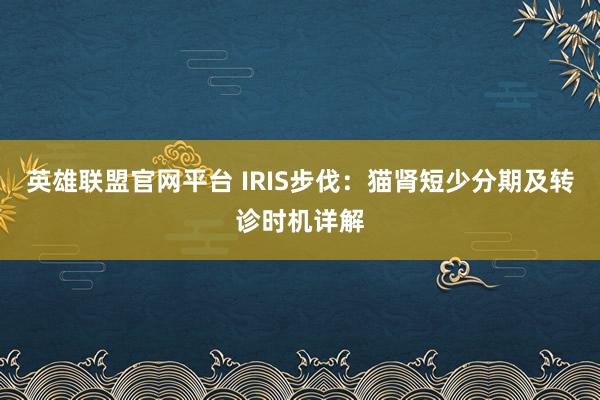 英雄联盟官网平台 IRIS步伐：猫肾短少分期及转诊时机详解