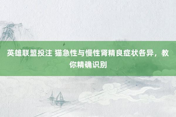 英雄联盟投注 猫急性与慢性肾精良症状各异，教你精确识别