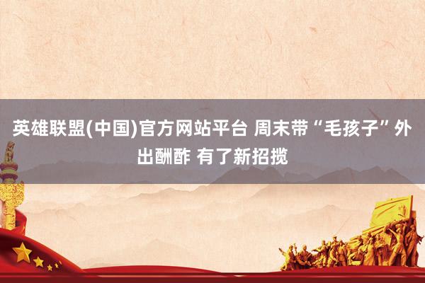 英雄联盟(中国)官方网站平台 周末带“毛孩子”外出酬酢 有了新招揽